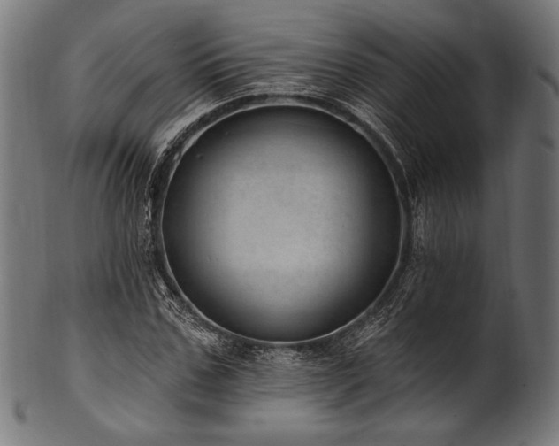 X0000100960971200806241523