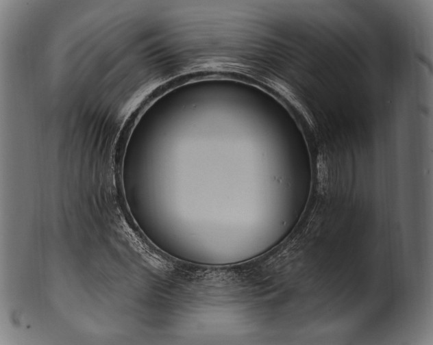 X0000100960972200806241523