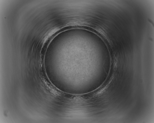 X0000100960974200806241523