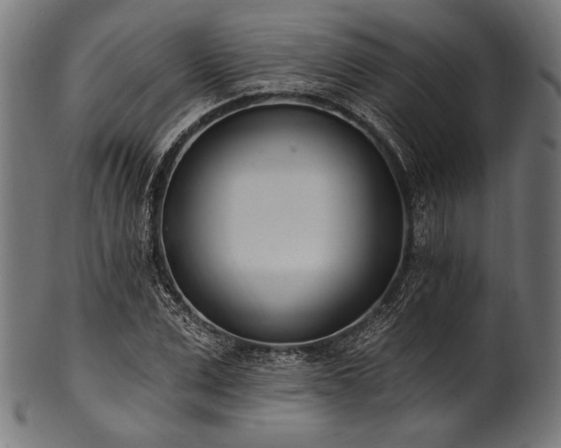 X0000100960975200806241523