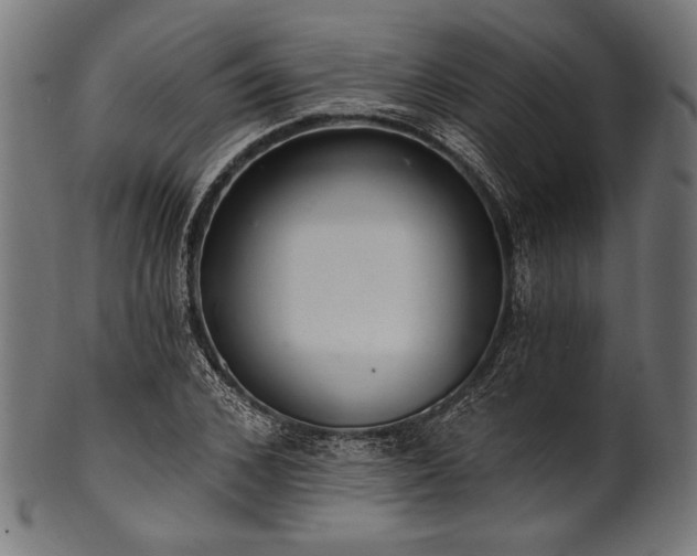 X0000100960976200806241523
