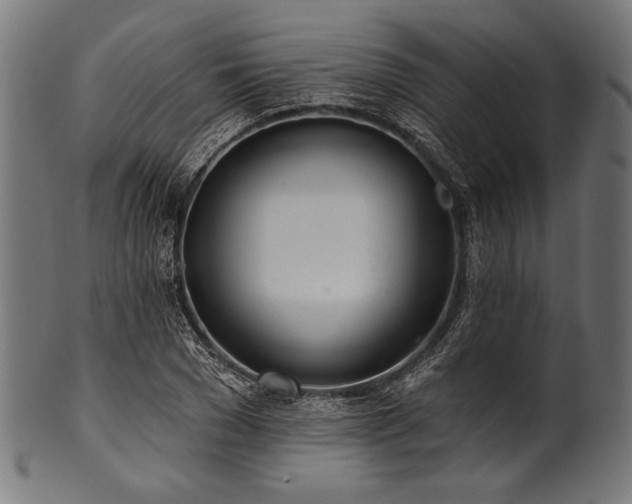 X0000100960977200806241523