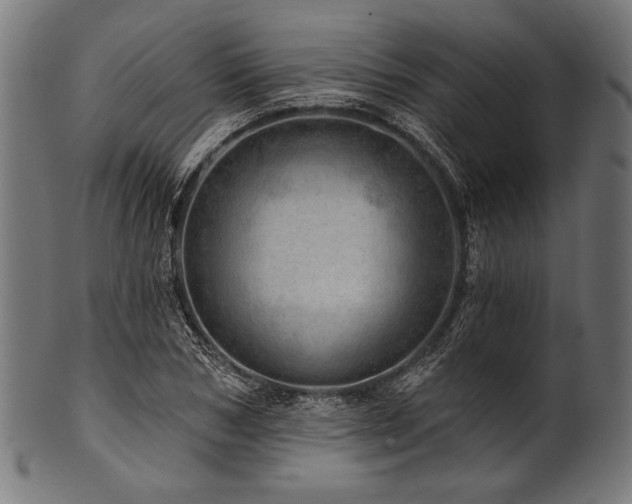 X0000100960978200806241523