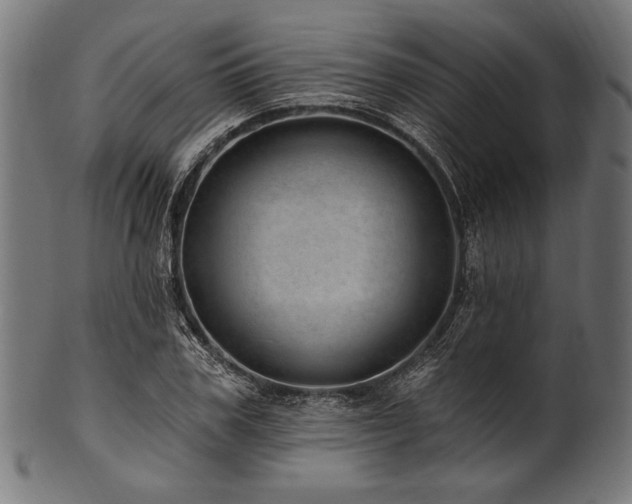 X0000100960979200806241523