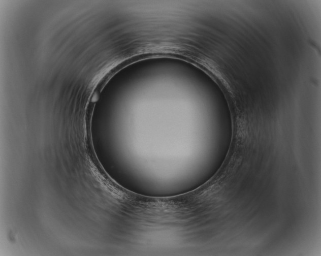 X0000100960980200806241523