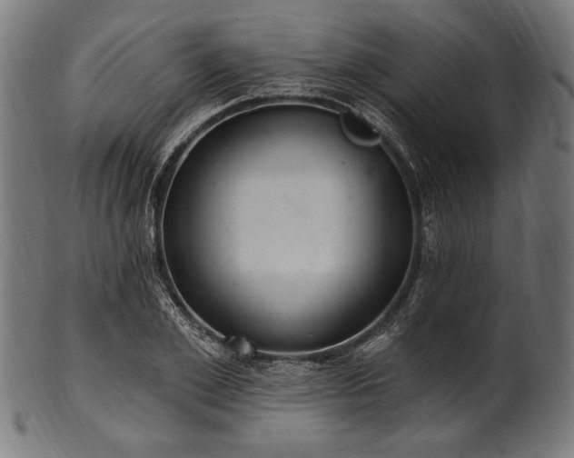 X0000100960981200806241523