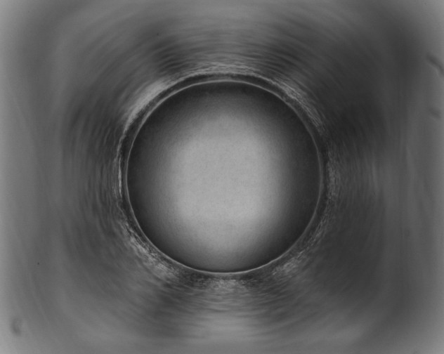 X0000100960982200806241523