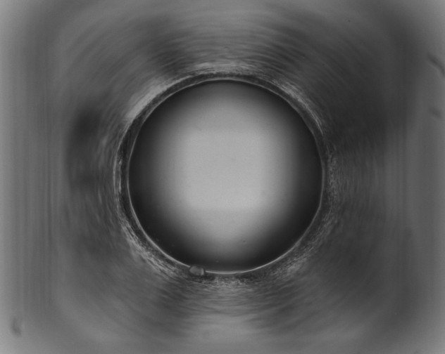 X0000100960983200806241523