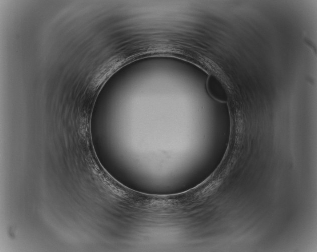 X0000100960985200806241523