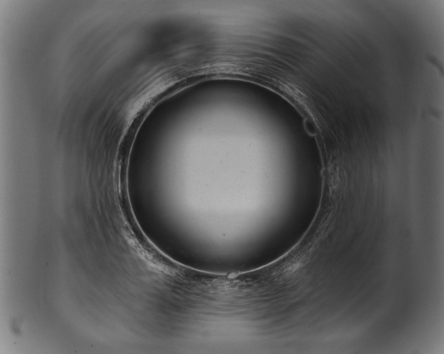 X0000100960987200806241523