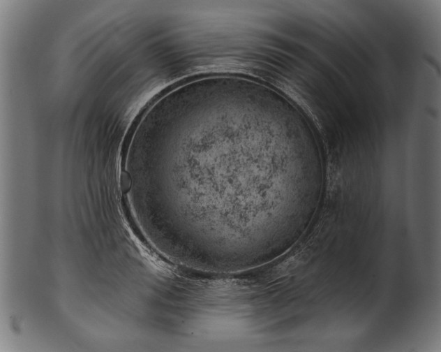 X0000100960988200806241523