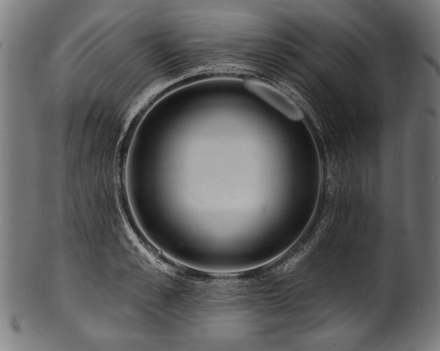 X0000100960989200806241523