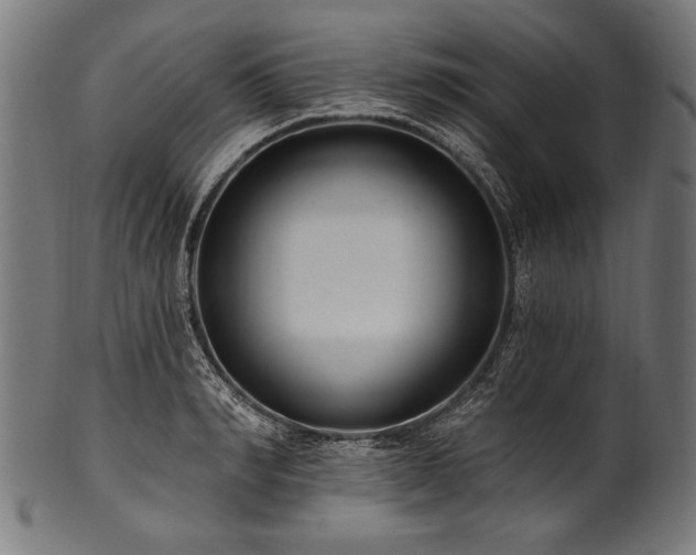 X0000100960990200806241523