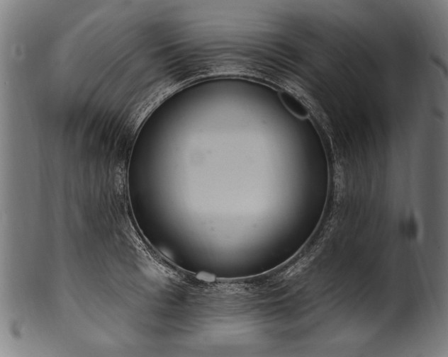 X0000100960993200806241523