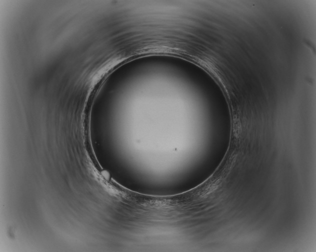 X0000100960995200806241523