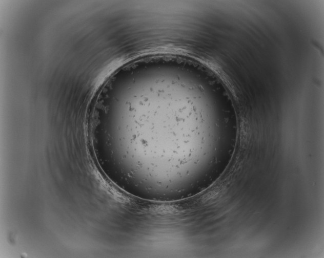 X0000100960998200806241523