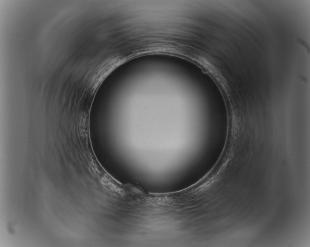 X0000100961001200806241523