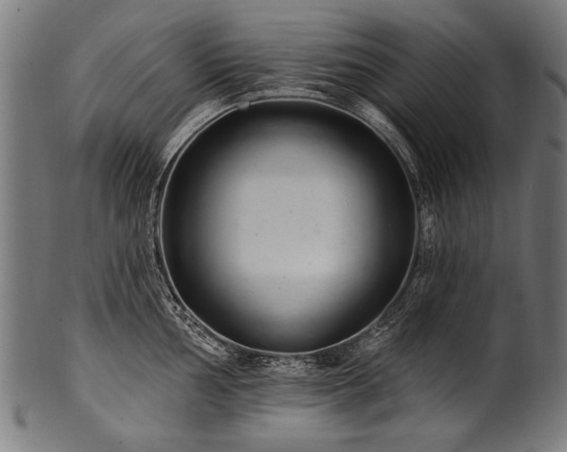 X0000100961002200806241523
