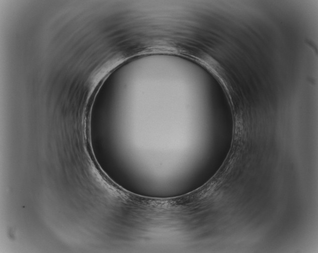 X0000100961003200806241523