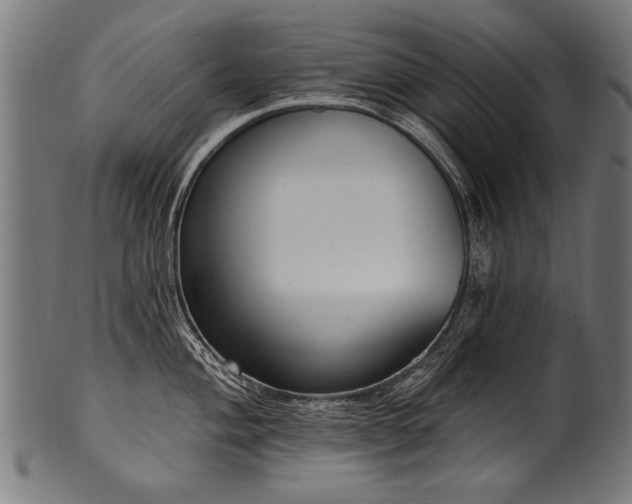 X0000100961004200806241523