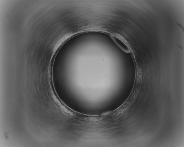X0000100961005200806241523