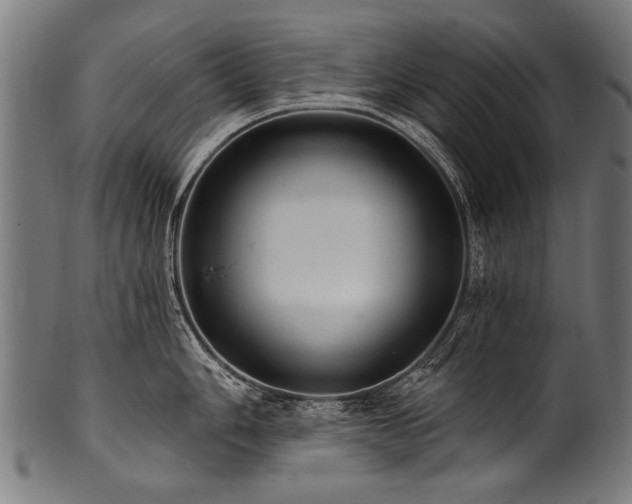 X0000100961006200806241523