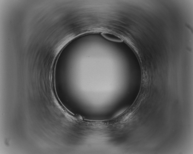 X0000100961007200806241523
