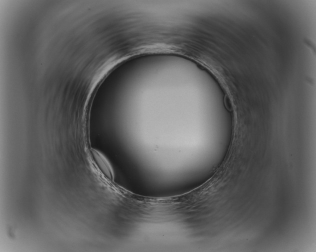 X0000100961008200806241523