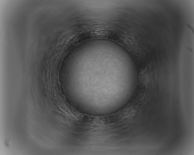 X0000100961009200806241522