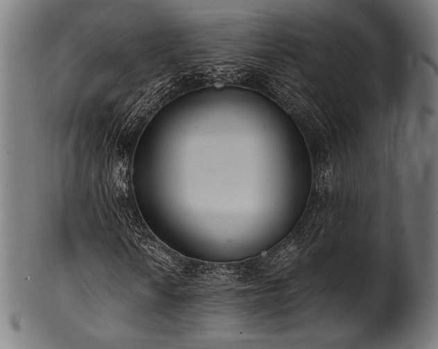 X0000100961010200806241522