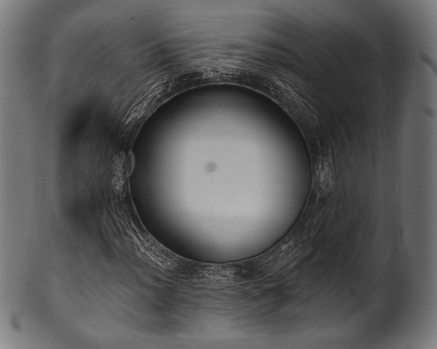 X0000100961012200806241522