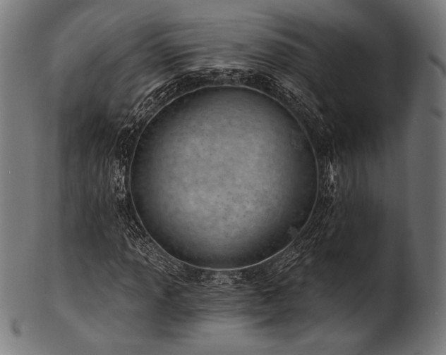 X0000100961013200806241522