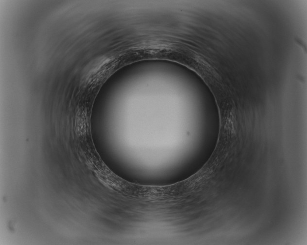 X0000100961014200806241522