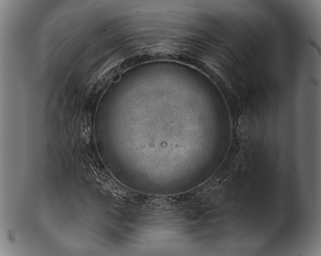 X0000100961015200806241522