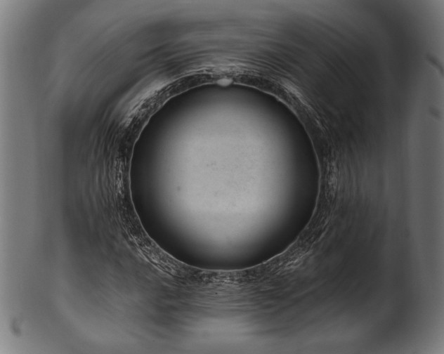 X0000100961016200806241522