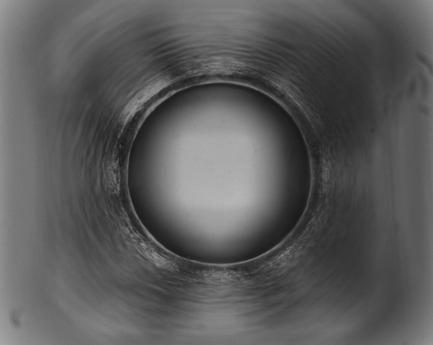 X0000100961018200806241522
