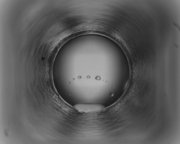 X0000100961019200806241522