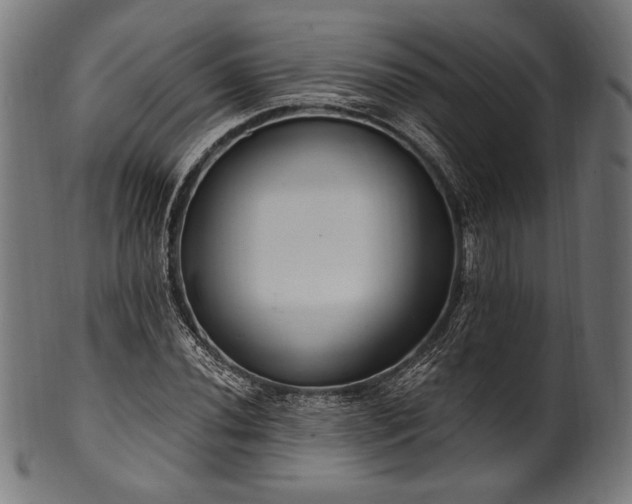X0000100961020200806241522