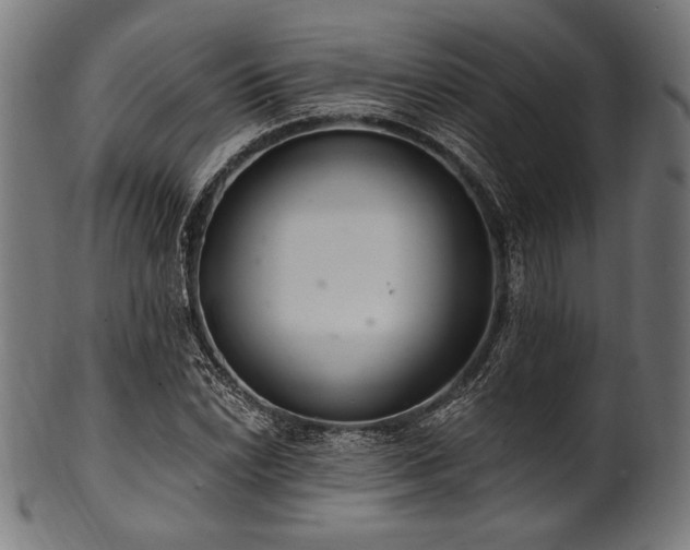 X0000100961022200806241522
