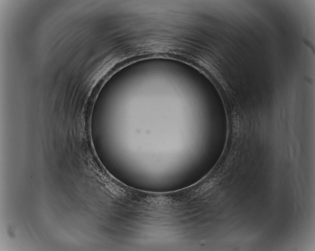 X0000100961023200806241522