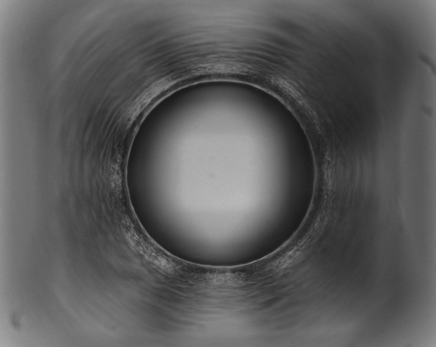 X0000100961025200806241522