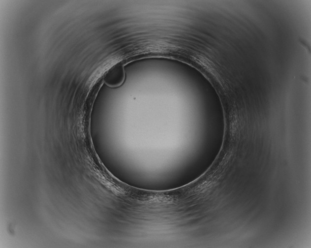 X0000100961026200806241522