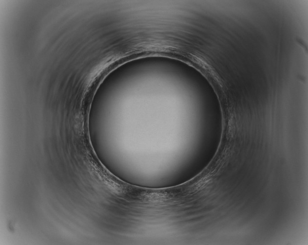 X0000100961027200806241522