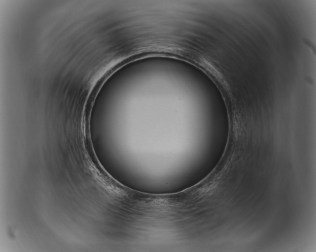 X0000100961028200806241522