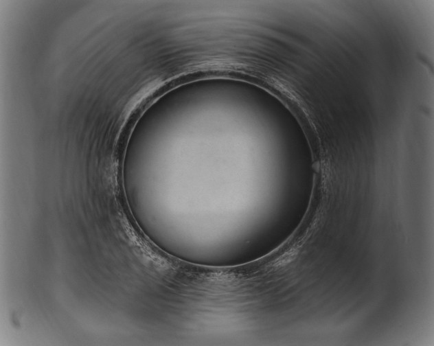 X0000100961029200806241522