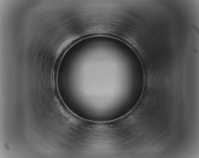 X0000100961030200806241522