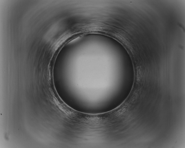 X0000100961031200806241522