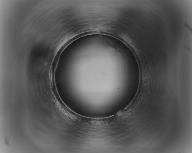 X0000100961032200806241522