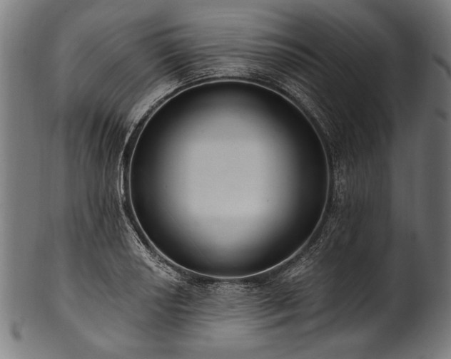 X0000100961034200806241522