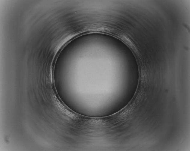 X0000100961036200806241522